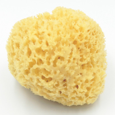 Aphrodite Natural sponge 10m